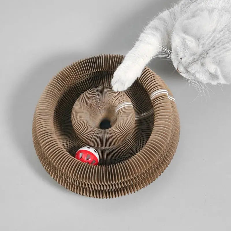 S3498fbbe507b4c408af01db8da81869ci